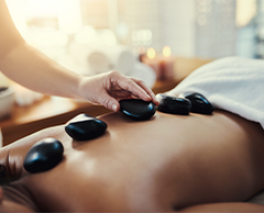 Anatomy and Physiology